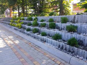 Zakończono nasadzenia roślinności stałej na terenie nowego parkingu w Miotku